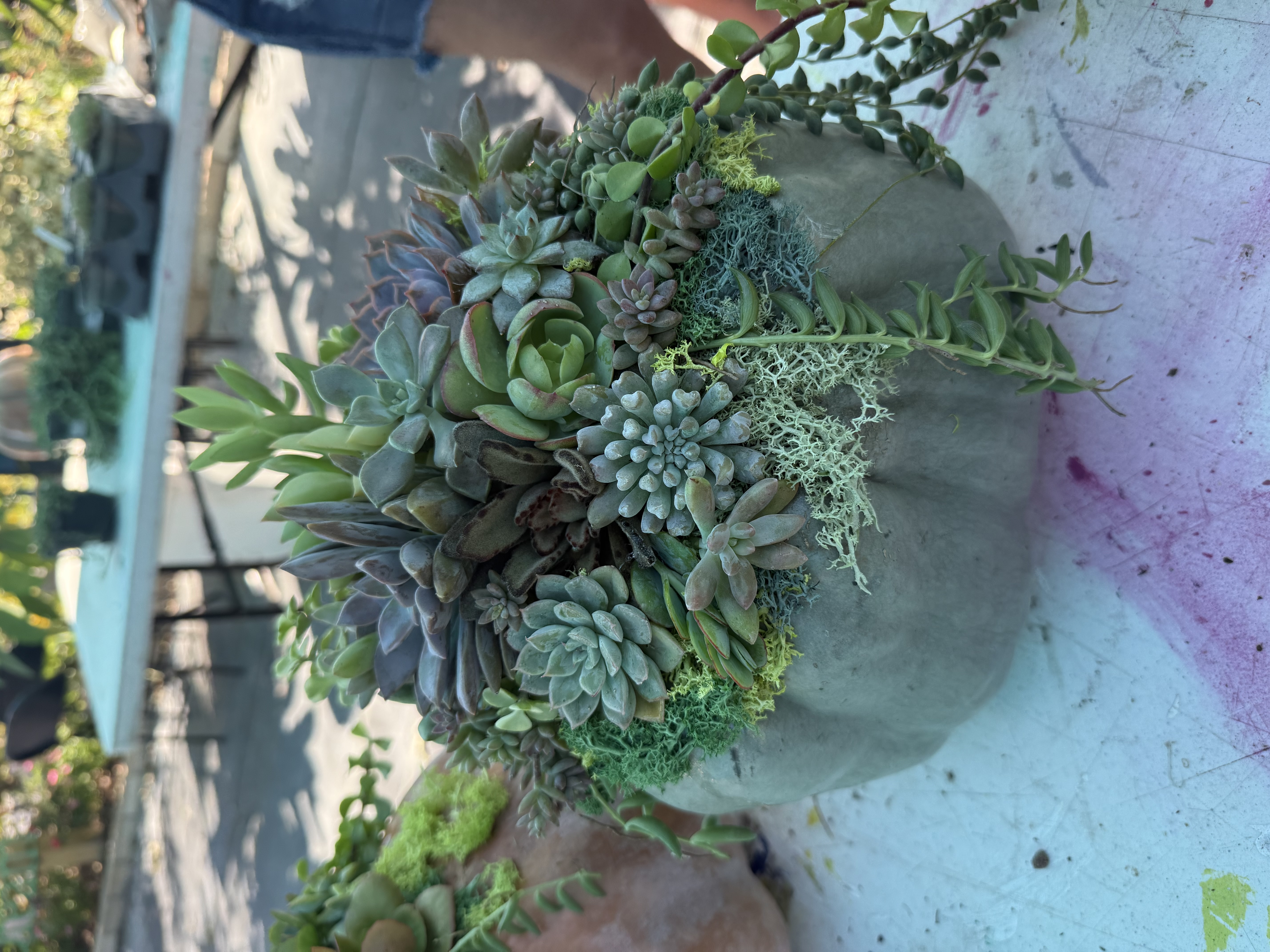 Pumpkulent Planter