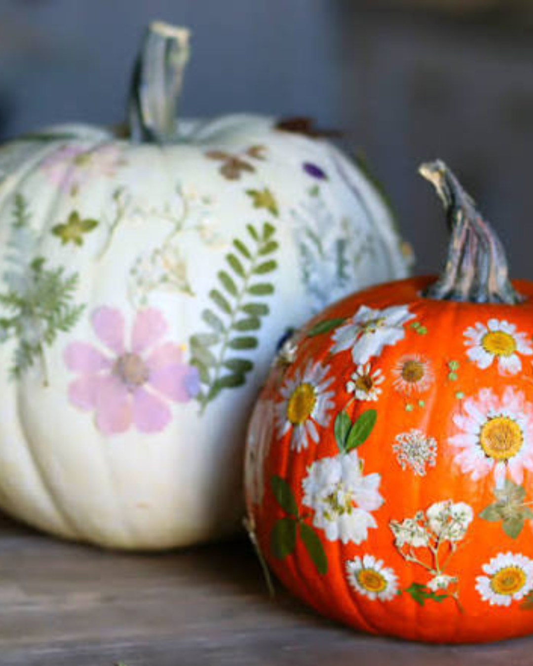 Floral Print Pumpkin: Fall Festival Sip N Stroll