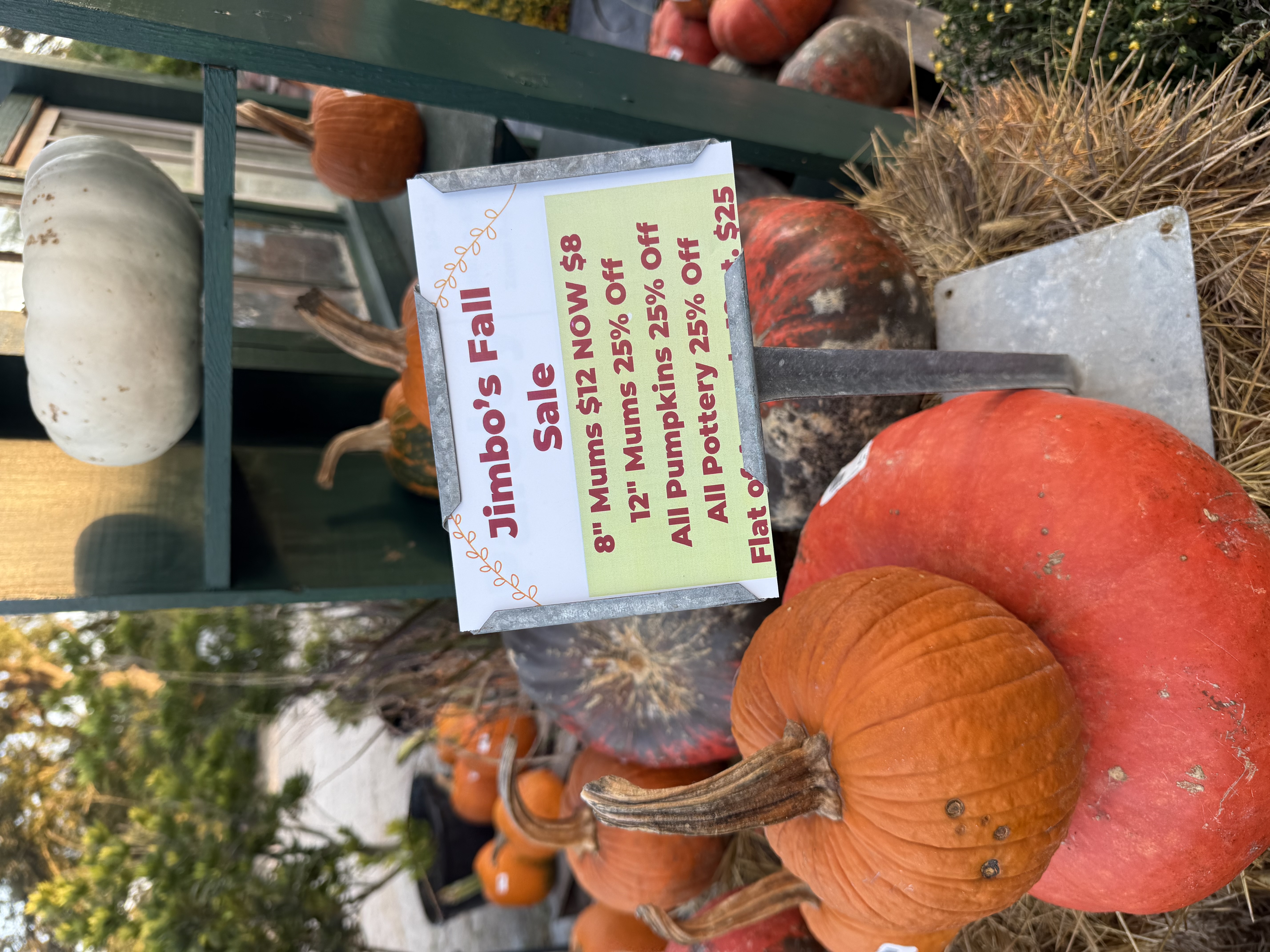 25% Off Fall Sale