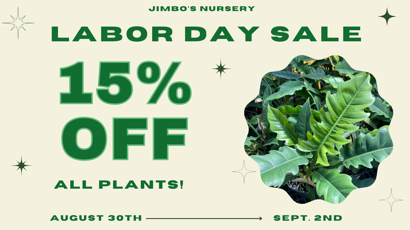 Labor Day Sale