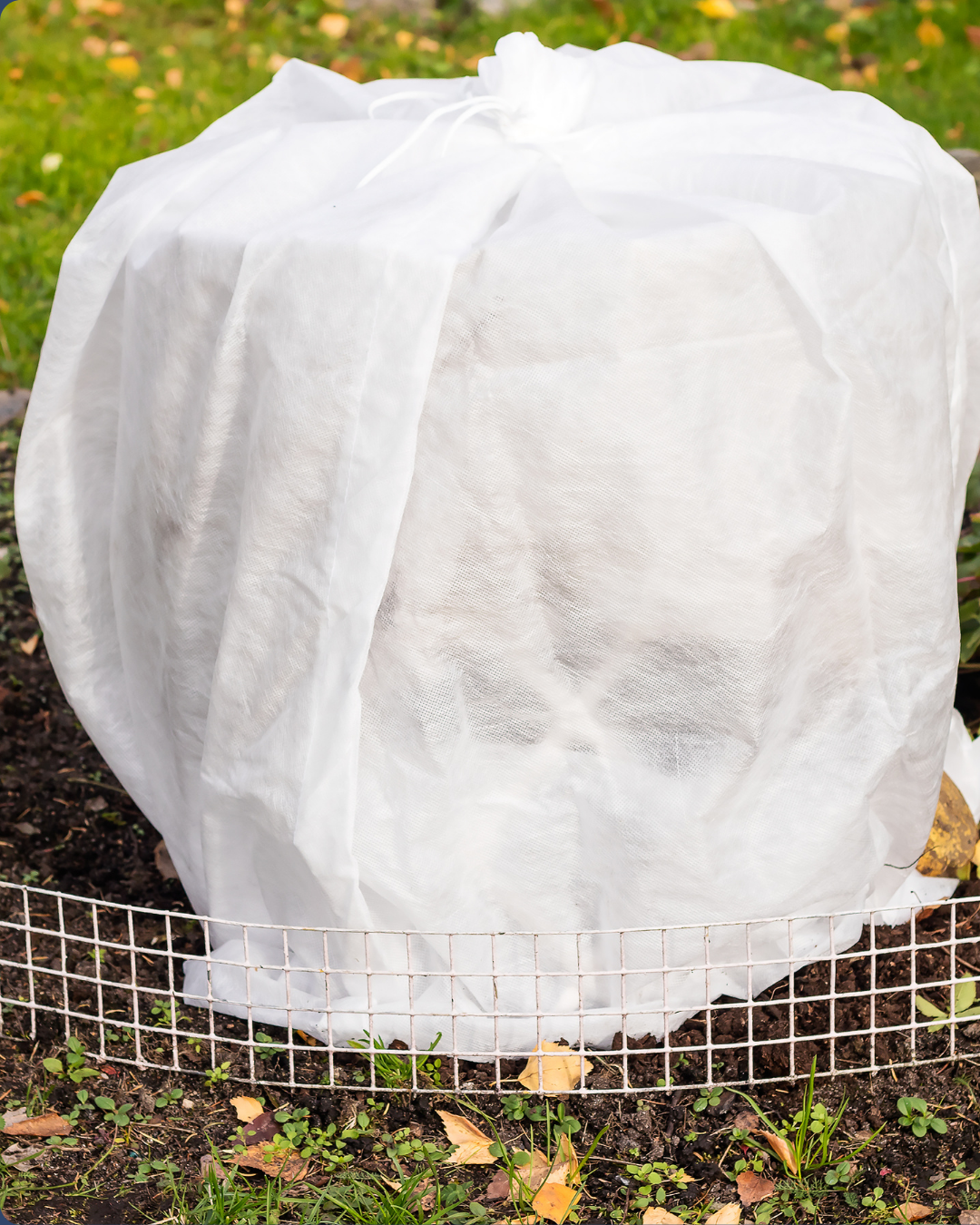 Winterize Your Garden with Jimbo’s!