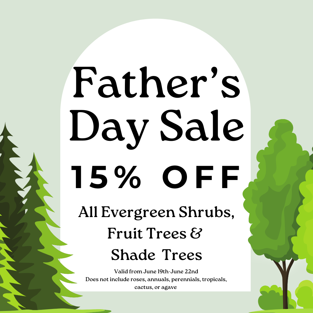 Celebrate Father’s Day at Jimbo’s!